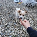[전북 운주] 좋은하루캠핑장 애견동반 가능 2박 3일 여행기(운주 캠핑, 맛집, 카페)