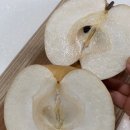 덕실농장 이미지