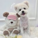 SM펫살롱 이미지