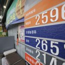 미래국제결혼사무소 이미지