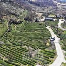 달전시목지 이미지