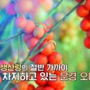 월악농장 이미지