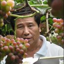 인창농장 이미지