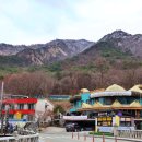 포레스트스테이 이미지