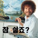 에디션플러스 | 네스프레소 버츄오 팝 플러스 블루보틀 에디션 내돈내산 후기