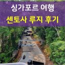 [코와리 여행기]싱가포르 센토사 루지 후기(가격, 위치, 바우처 교환, 탑승후기)