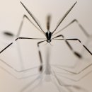 CW-2112-01 이미지