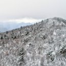 첫눈에평창