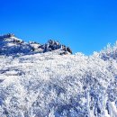 &#34;사계절 빛나는 자연 절경&#34; 외국인도 많이 찾는 전남 겨울 여행지 4곳 이미지