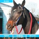 마니피크 이미지