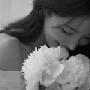 스튜디오고유 이미지