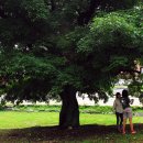 두일중학교 이미지