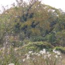 덕천보건진료소 이미지