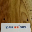 영이네물회