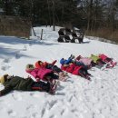 국유림관리사무소 이미지