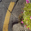 기린 세탁소 이미지