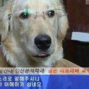 행복회수산 네이버블로그