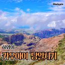 리휴관광호텔 | 하와이여행 당일치기 카우아이 오래된 추억 + 꿀팁