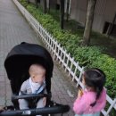 개판살판 | 생후37주~40주 생후260일~287일 후기이유식시작 분유줄이기 몸무게 낮잠