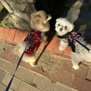 (주)태무 이미지