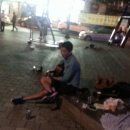 봉이네 애견미용 이미지