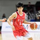 코리아1위인삼