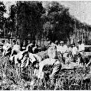 숭실농장 이미지