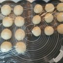 둥글리다 이미지