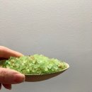 스테이라디오스타 이미지