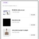 프리지아직구