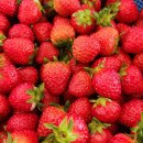 엄마와 함께하는 동화 요리 수업 | (출강 후기) 배고픈 곰이 나타나기 전에! 🍓 동화와 노래로 즐기는 병설유치원 딸기 타르트 체험