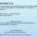 러셀루노