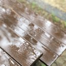 몽산포자동차야영장 이미지