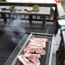 제주키즈풀빌라 나무와 아이 이미지