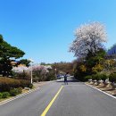 은혜병원 이미지