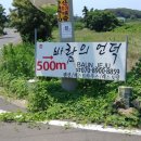 바언제주(바람의언덕) 이미지