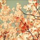 우리 늘 이미지