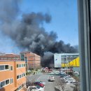 통영초등학교 이미지