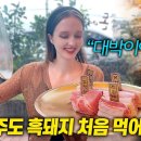 미쿡 누나.....흑돼지 삼겹살 제주도 여행기..../.....스펙타클한 여수 여행, 택시 노래방..... 이미지