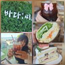 길도씨건어물 | 속초 장사항 디저트 카페 바다씨 스노클링 맛집에서 샌드위치랑 달달구리랑 커피 한 잔
