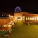 도그플러스 애견미용 이미지