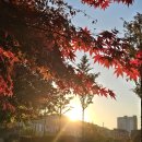 해질무렵 이미지