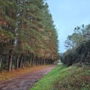 27200-나-28 | [산티아고 순례길 / Day 28] 포르토마린(Portomarin)에서 팔라스 데 레이(Palas de Rei)를 거쳐 폰테...