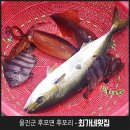 최가네회집 이미지