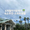 (주)교원스위트호텔 제주 | [제주여행] 6개월 아기랑 제주도 숙소 왕왕추천!! / 테라스가 넘 예쁜 &#34;스위트호텔 제주 테라스룸&#34;ෆ