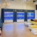 마이도그샵 이미지