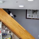 거부기 동물병원 이미지