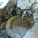 약수터 옆 이미지