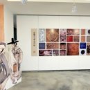 대구대학교 중앙박물관 이미지