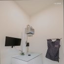 수 동물병원 네이버블로그